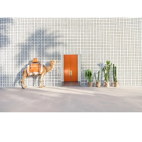 Gray Malin Camel and Cacti Photography - Orange, Green, White - Picture 2 of 4